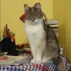 Отзыв от Анжелика Клюева